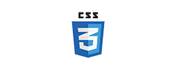 css3